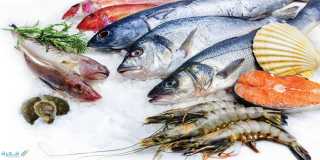 تعرف على أسعار الأسماك فى مصر اليوم الخميس 26-05/2022
