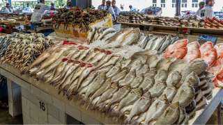 أسعار الأسماك اليوم الجمعة 27-5-2022 في مصر
